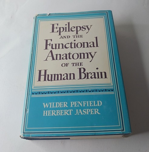 Epilepsy and the - , functional