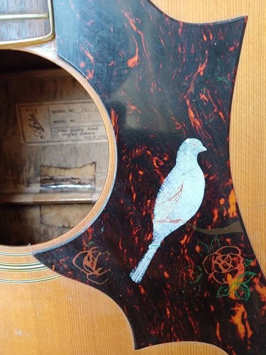 Chitarra aria custom vintage - chitarra,