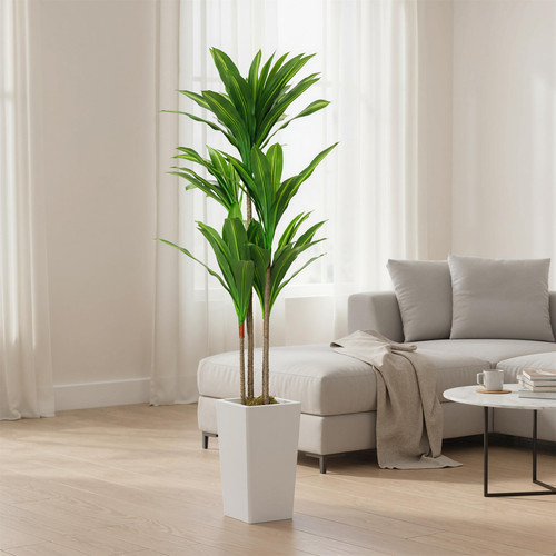 Albero artificiale dracaena - albero,