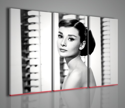 Quadri moderni audrey hepburn - audrey,