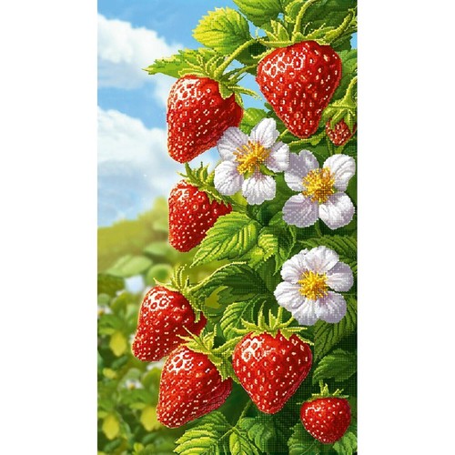 Kit ricamo perline - , fragole