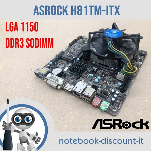 Scheda madre asrock h81tm - scheda,