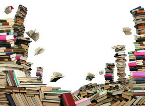 Libri testi nuovi diritto - libri,