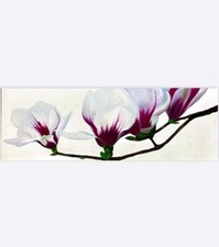 QUADRO CON FIORI - SALVADORI GRAPHICS DECORATO A MANO,REALIZZATO IN ITALIA 33X94