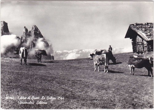 Alpe siusi sciliar - di, lo