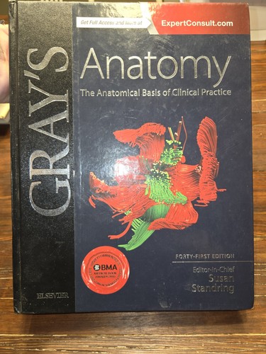Gray anatomy the anatomical - gray's, anatomy: