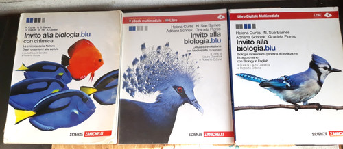 Lotto invito alla - 3,