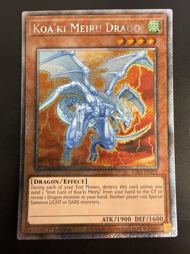 Koa meiru drago platinum - meiru, (platinum