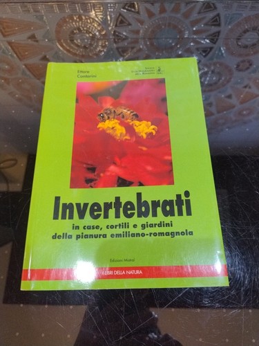 Invertebrati case cortili - invertebrati,