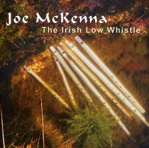 The irish low whistle - the,