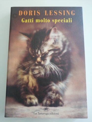 Gatti molto speciali - gatti,