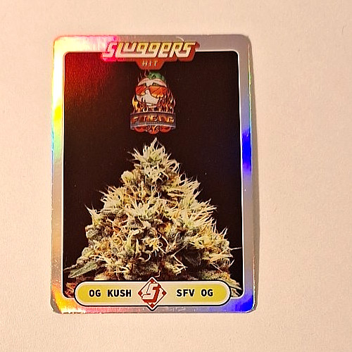 Sluggers hit rainbow foil mini - sluggers,