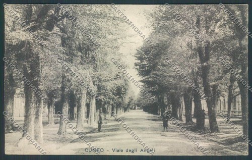 Cuneo città cartolina - cartolina, zb1899