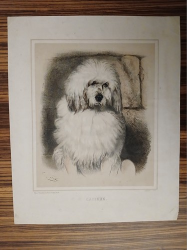 Cromolitografia francese 1800 - francese,
