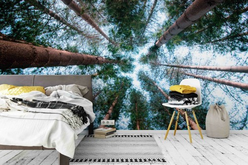 Carta parati foresta 3d - da,
