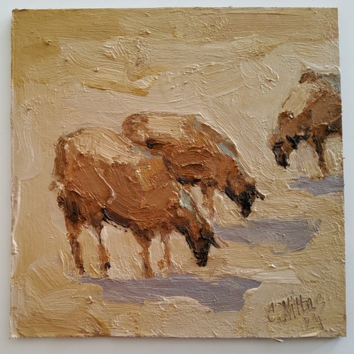 Quadro pecora originale olio