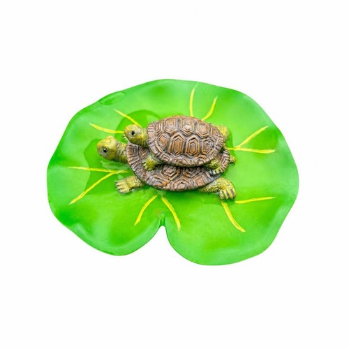 Tartaruga foglia ninfea - tartaruga,