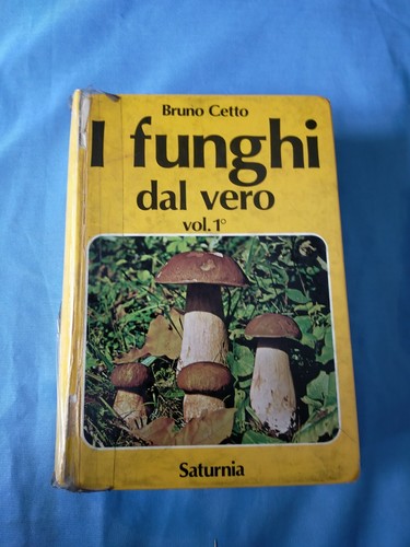 Bruno cetto funghi dal vero - bruno,