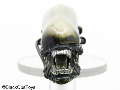 Scultura testa xenomorfo