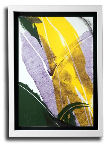 Litografia paul jenkins - litografia,