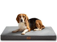 Cuscino Cane Grande in Memory Foam - Materassino Sfoderabile & Impermeabile, Ant