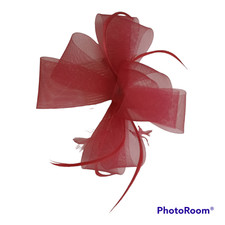 Applicazione sposa pettine - sposa,