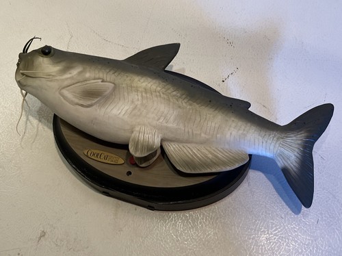 Pesce gatto fresco