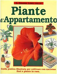 Grande libro delle - grande,