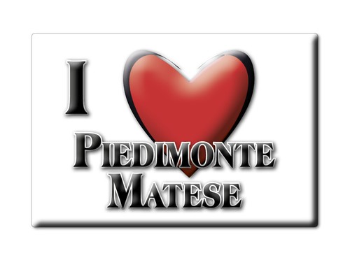 Calamita piedimonte matese - calamita,