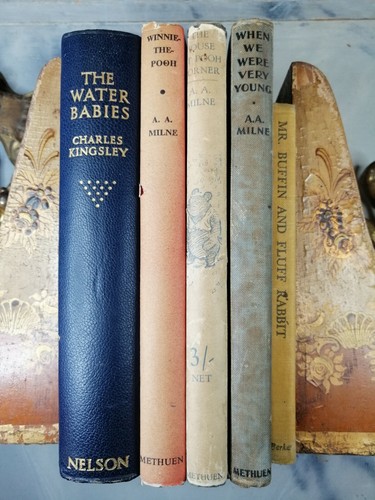 Lotto libri illustrati inglesi - libri,