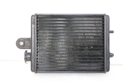 Radiatore aprilia classic - -,