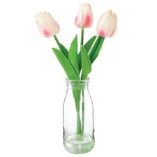 Tulipani pasquali bianchi in