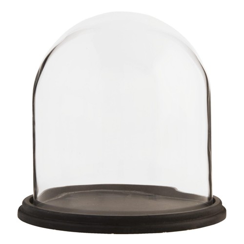 Espositore vetro cloche - vetro,