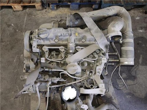 Rhs motore peugeot 307 - motore, s1