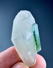 Tormalina 61 carati con quarzo