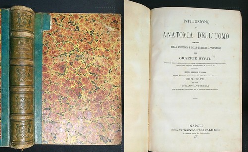Istituzione anatomia - istituzione,