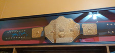 Wrestling Belt Display Case