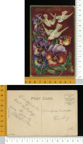 V3364 augurale fiori - -,