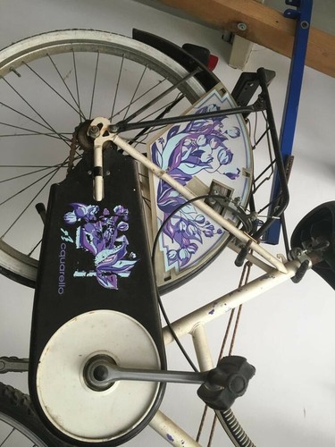 Bicicletta passeggio - da,