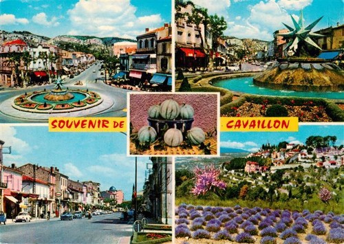 Cavaillon souvenir - cavaillon,