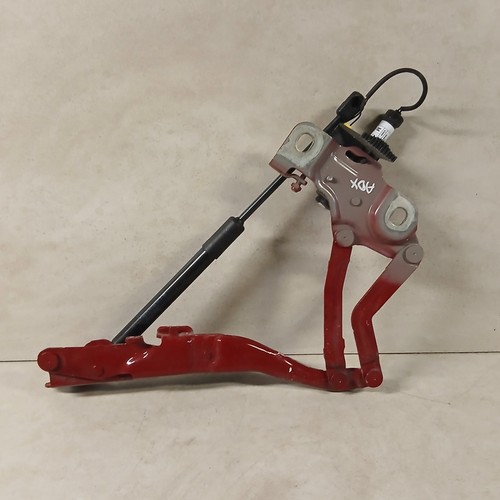 51237435543 cerniera cofano - cerniera,