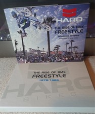 The Rise Of Freestyle Hard