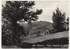 MONTE FUMAIOLO - FORLI' - VIAGG. 1958 -26574-