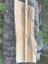 Legno Di Ulivo Pezzo Bellissimo Indicato Per Taglieri Lampadario O Appendi Abiti