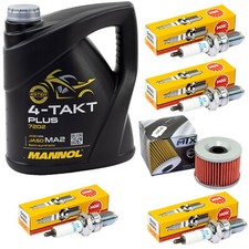 Inspektion Set Öl 4L für