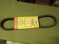 cinghia trasmissione belt