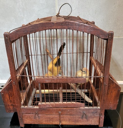 Antique vintage wooden bird - vintage, /