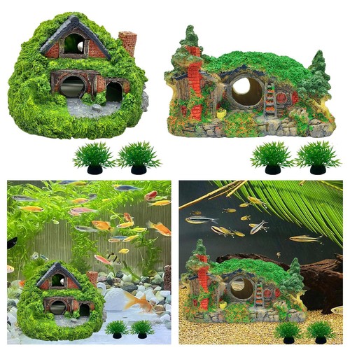 Acquario decorazioni casa