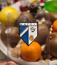 Scudetto calciatori panini