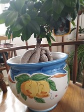 vaso in ceramica  dipinto a